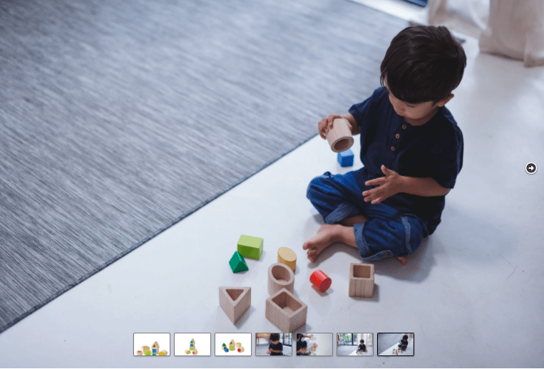PlanToys Geo Matching Boxes