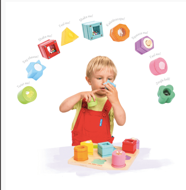 Le Toy Van Petilou Sensory Shapes