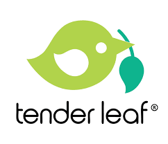 Tender Leaf Toys