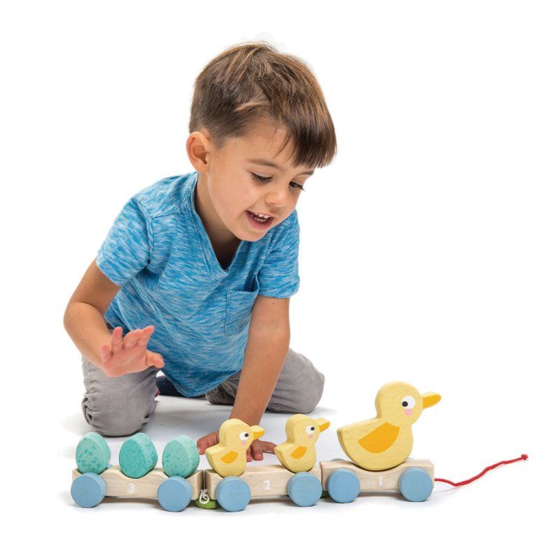 Pull Along Toys