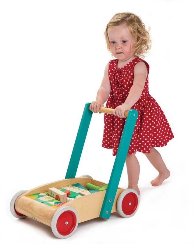 Tender Leaf Toys Wooden Wagon with Building Blocks