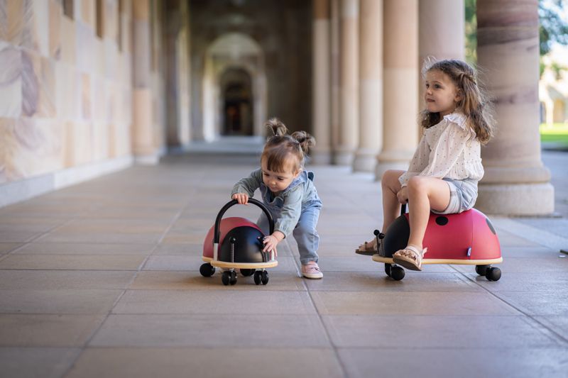 Wheely Bug Kids Ride On Ladybug Small