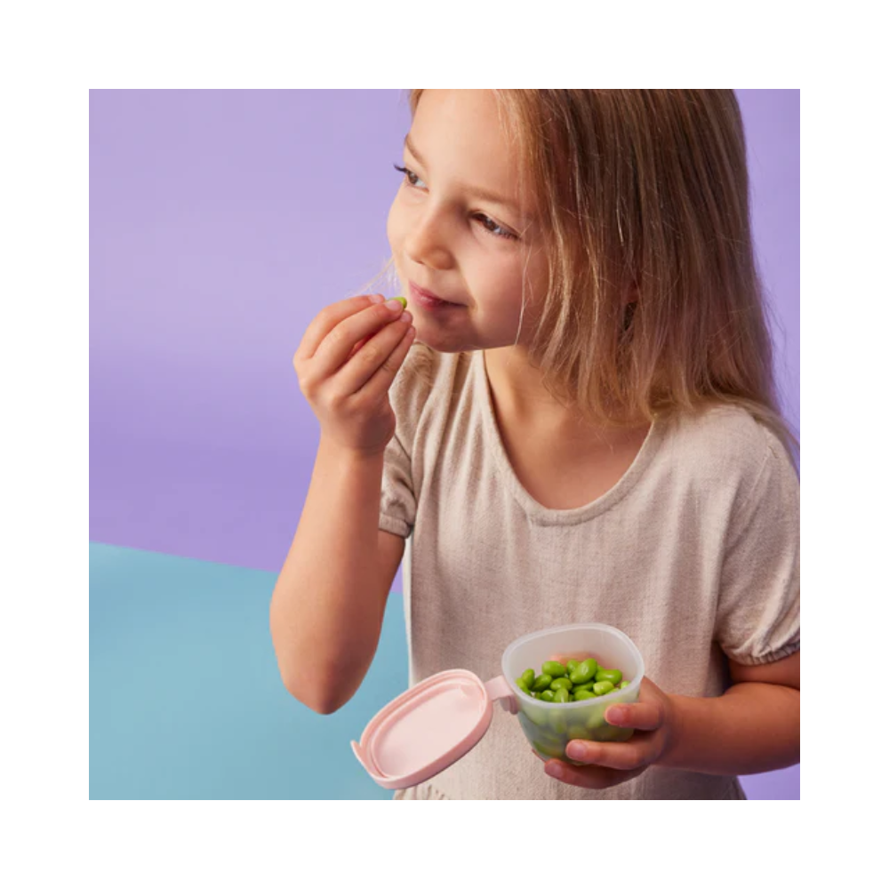 B.Box Snack Tubs 3pk - Berry