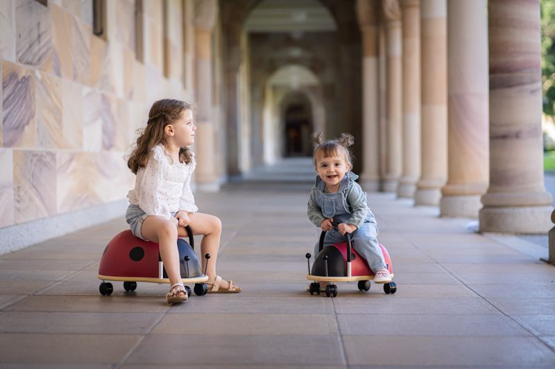 Wheely Bug Kids Ride On Ladybug Large