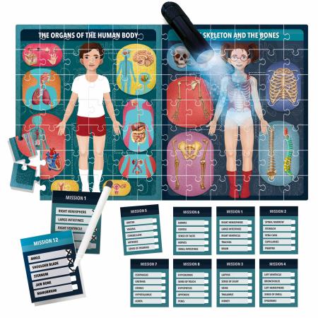 Headu Flashcard Game - The Human Body Under X-Ray