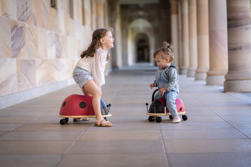 Wheely Bug Kids Ride On Ladybug Small