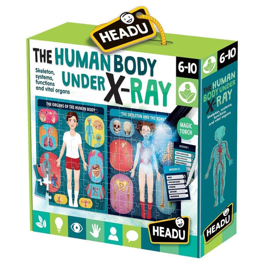 Headu Flashcard Game - The Human Body Under X-Ray