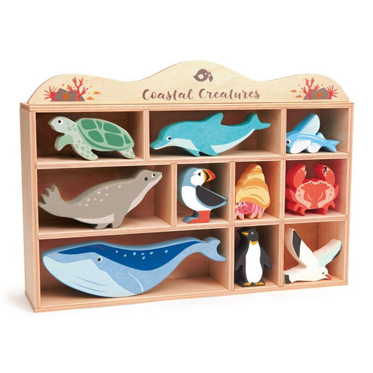 Tender Leaf Toys Wooden Coastal Display Shelf Set