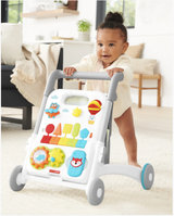 Skip Hop Explore & More Grow Along 4 in1 Activity Walker