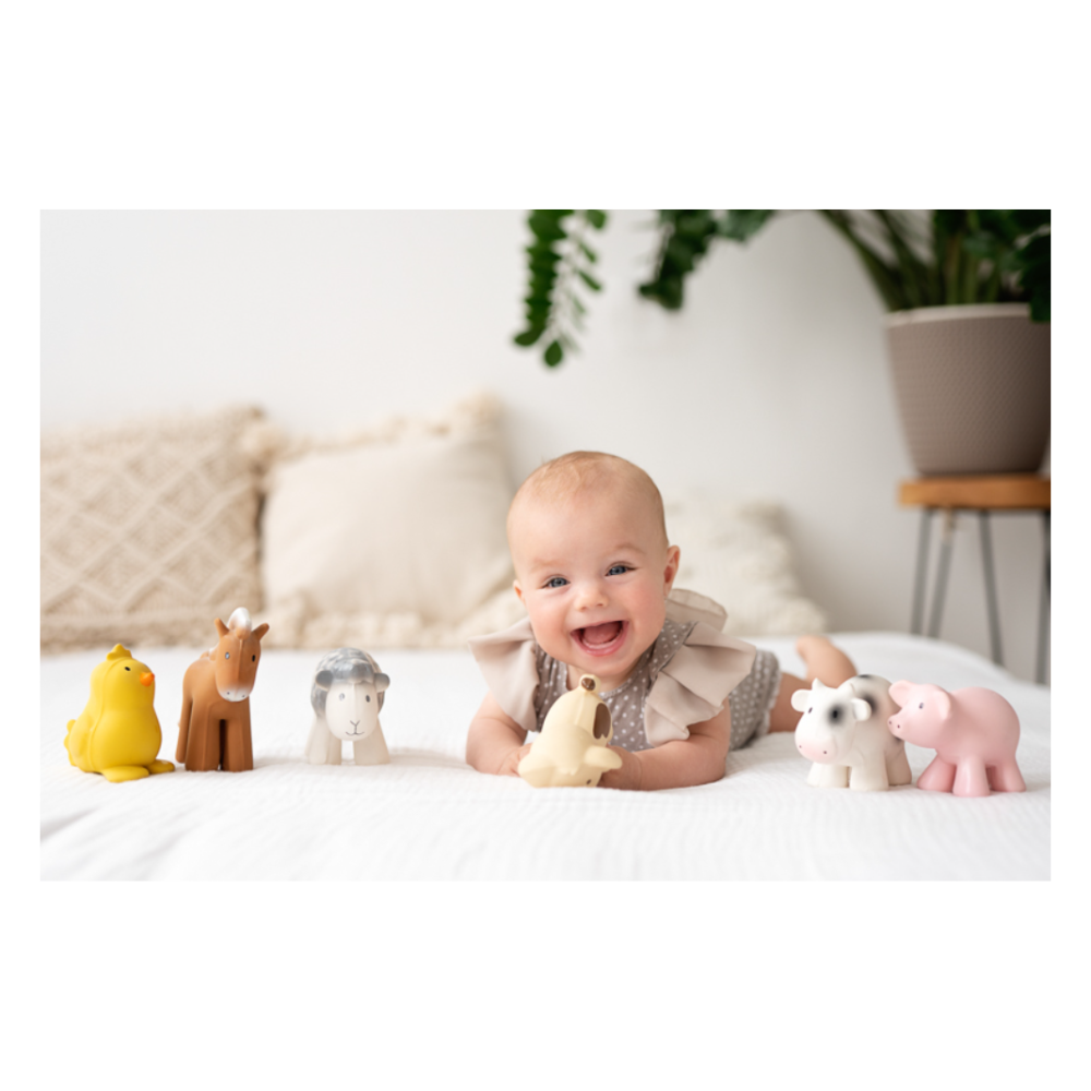 Tikiri Set of 6 Tikiri Farm Rubber Rattle & Bath Toys