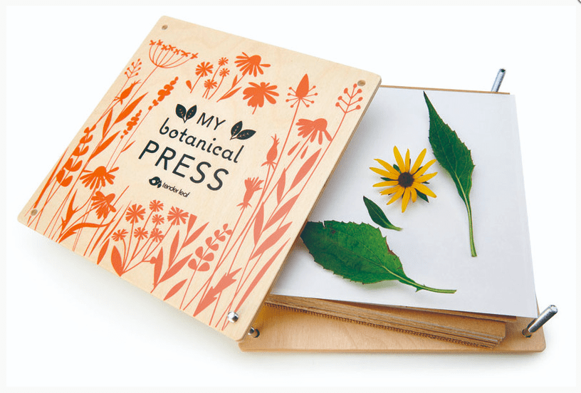 Tender Leaf Toys Wooden Flower Press Craft Kit