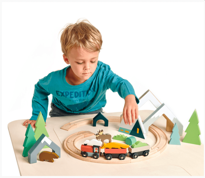 Tender Leaf Toys Treetops Train Set