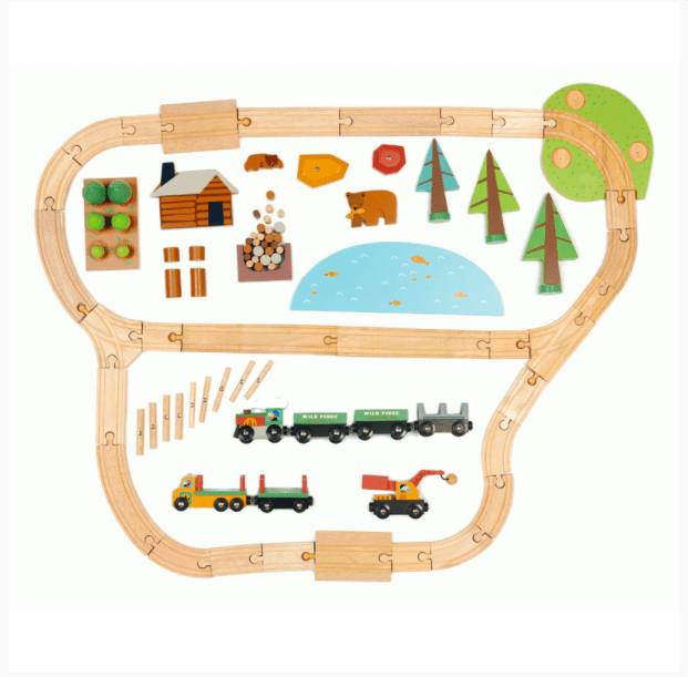 Tender Leaf Toys Wild Pines Train Set