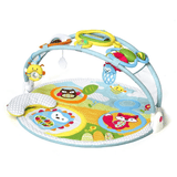 Skip Hop Explore & More Amazing Arch Activity Gym