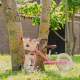 Trybike Basket