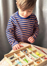 Tender Leaf Toys My Bug Hotel