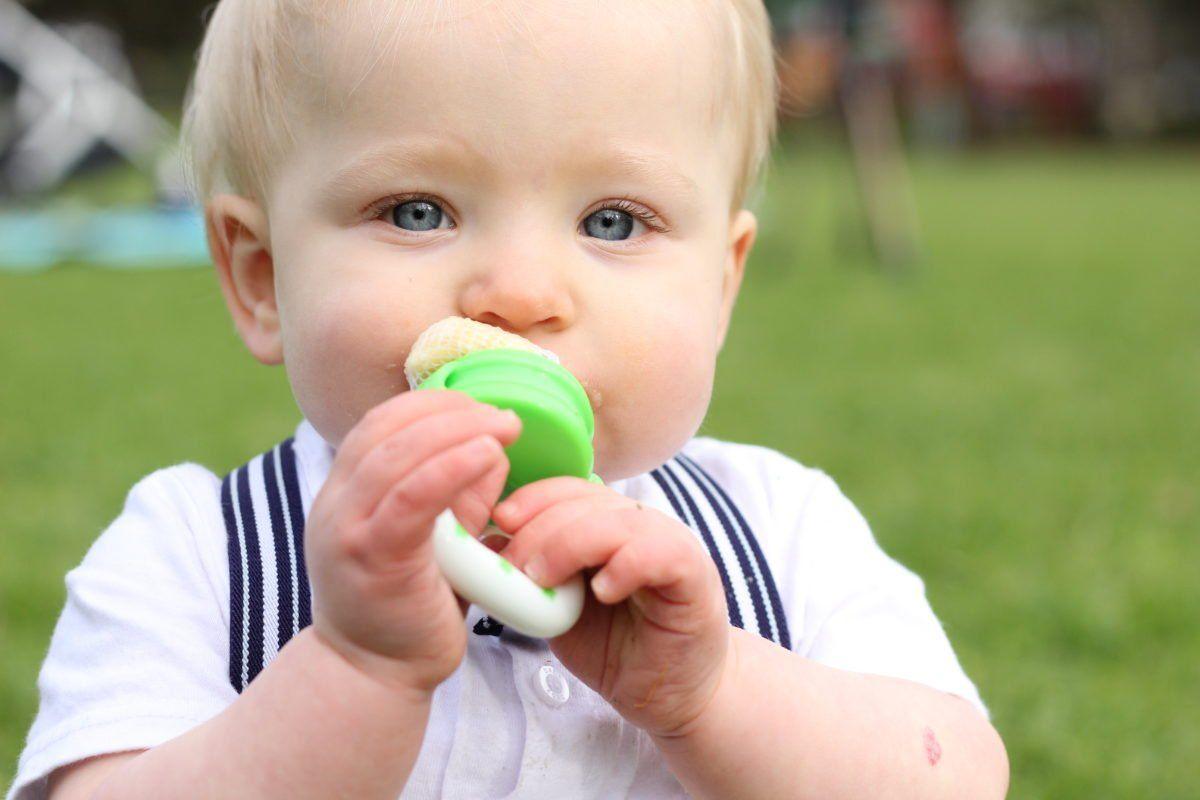 Cherub Baby Fresh Food Feeder- Green