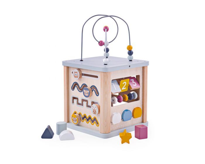 Bigjigs Toys FSC Activity Cube