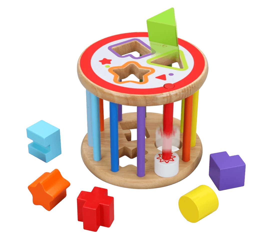 Classic World Shape Sorter (6 Blocks)