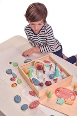 Tender Leaf Toys My Forest Floor Set