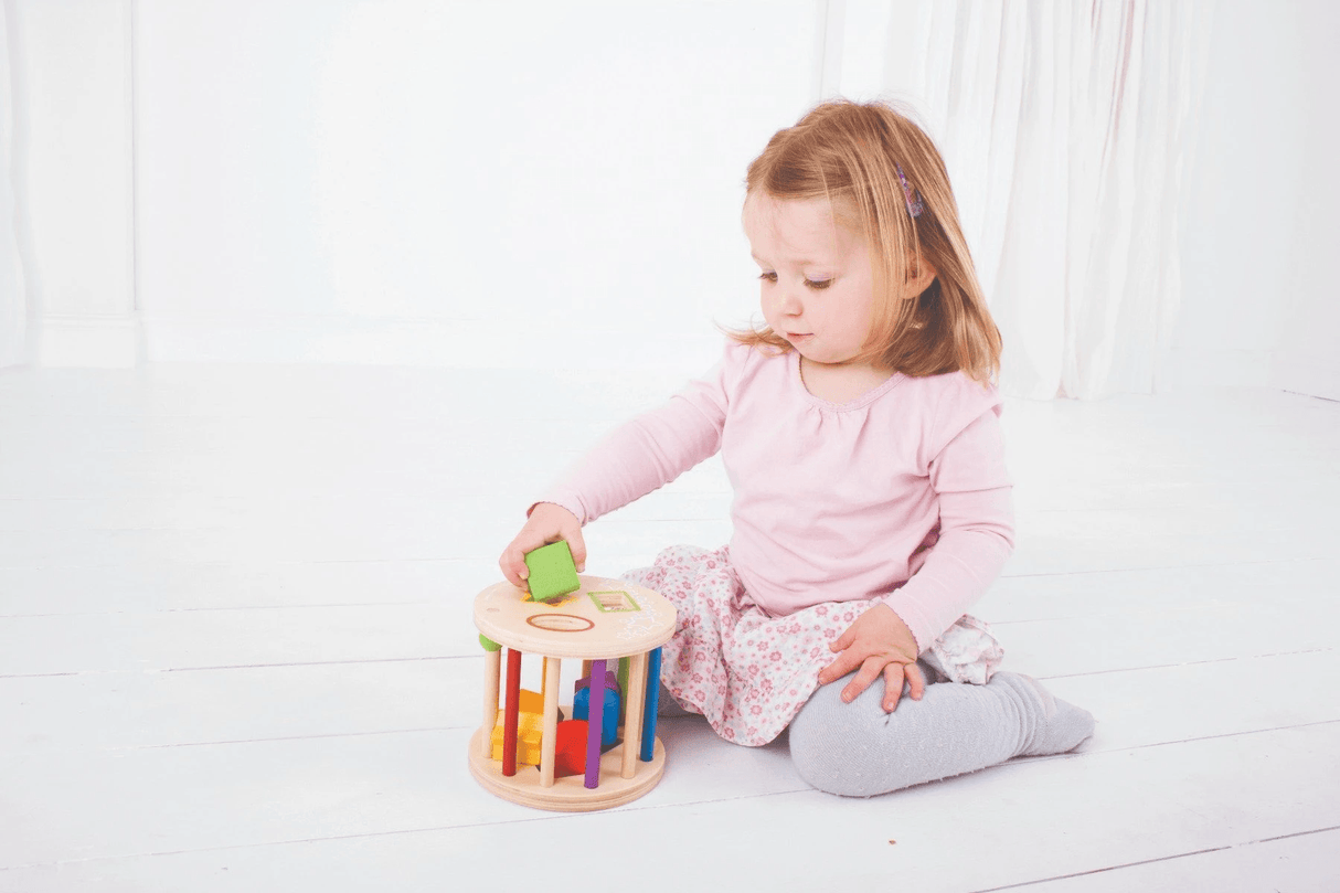 Bigjigs Toys First Rolling Shape Sorter