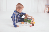 Bigjigs Toys Farmhouse Sorter