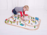 Bigjigs Rail Town and Country Train Set