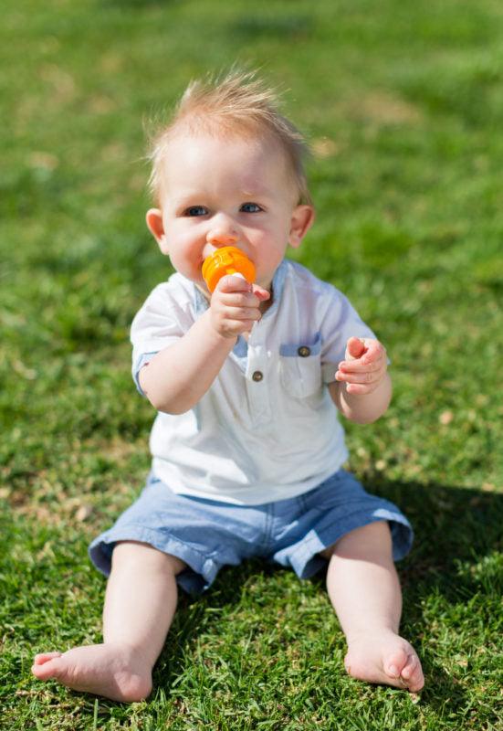 Cherub Baby Fresh Food Feeder With 3 Replacement Nets - Orange