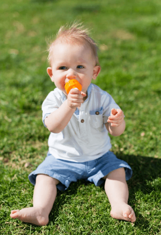 Cherub Baby Fresh Food Feeder With 3 Replacement Nets - Orange