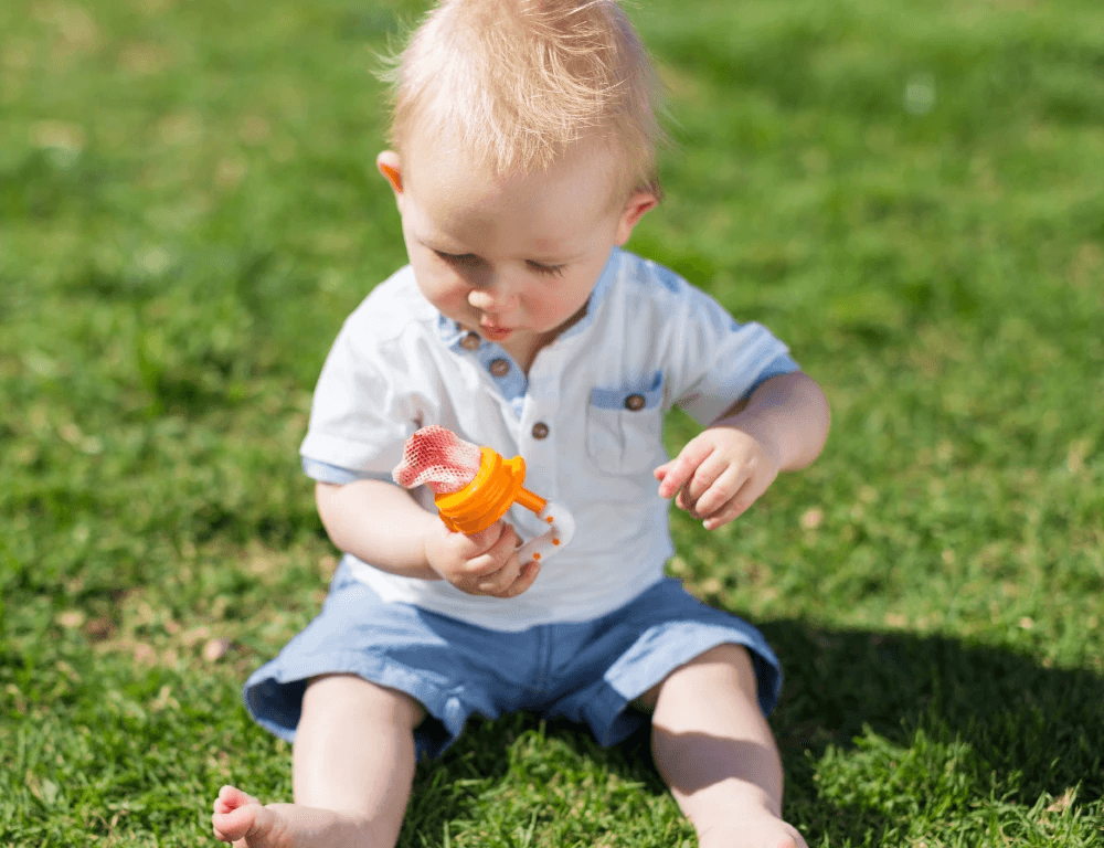 Cherub Baby Fresh Food Feeder With 3 Replacement Nets - Orange