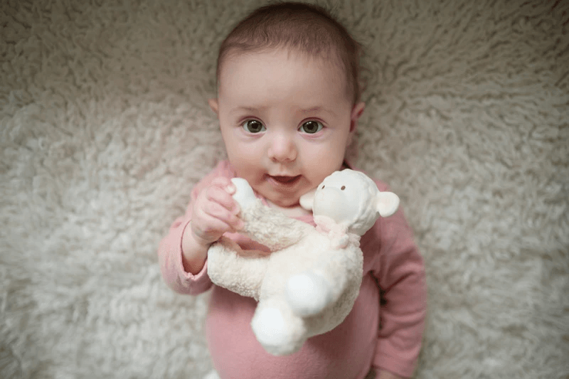 Tikiri Lila Lamb Toy with Rubber Head - Pink - Window Box