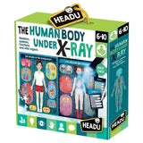 Headu The Human Body Under X-Ray