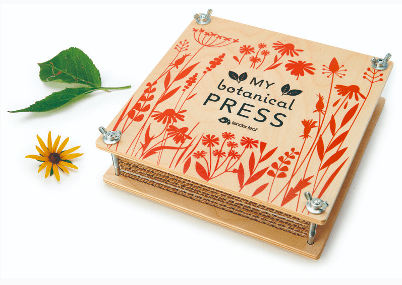 Tender Leaf Toys My Botanical Flower Press
