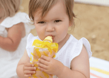 Cherub Baby Food Pouch & Breast Milk Bag Organiser