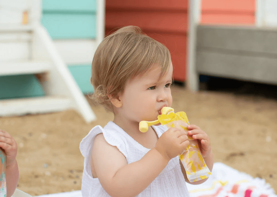 Cherub Baby Food Pouch & Breast Milk Bag Organiser