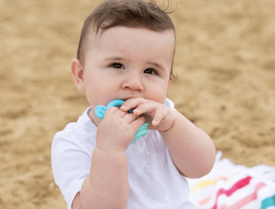 Cherub Baby Silicone Fresh Food Feeder & Teether - Aqua Mint