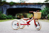 Trybike Woven Wicker Basket for Steel Bike