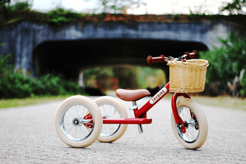 Trybike Woven Wicker Basket for Steel Bike