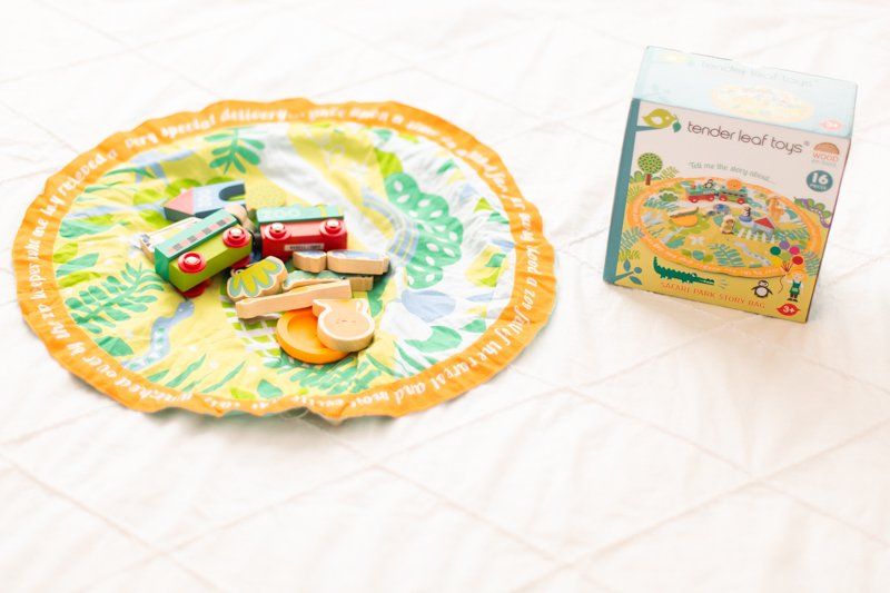 Tender Leaf Toys Safari Park Story Bag Set