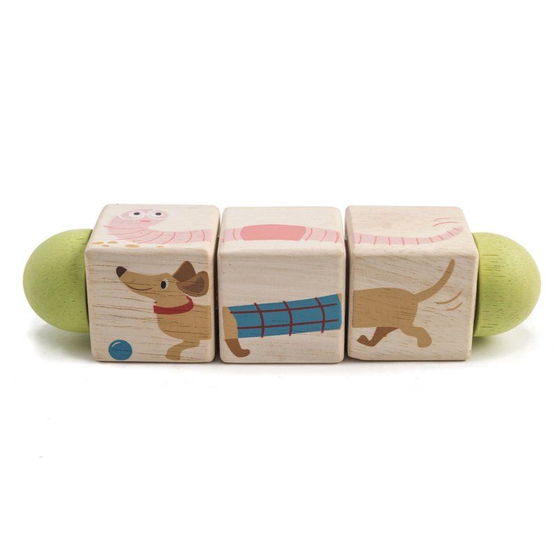 Tender Leaf Toys Wooden Twisting Cubes