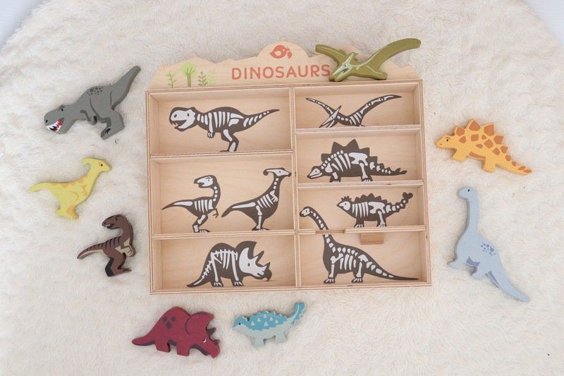 Tender Leaf Toys 1 Piece Dinosaur Display Shelf Set